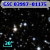 GSC 03987-01175