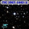TYC 3987-1443-1