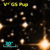 V* GS Pup