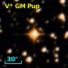 V* GM Pup