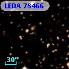 LEDA   78466