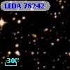 LEDA   78242