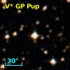V* GP Pup