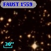 FAUST 1559