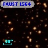 FAUST 1564