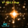 V* V613 Pup