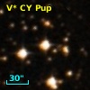 V* CY Pup