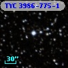 TYC 3986-775-1