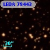 LEDA   78443