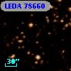 LEDA   78660