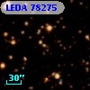LEDA   78275
