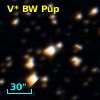 V* BW Pup
