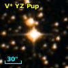 V* YZ Pup