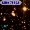 LEDA   78709