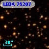 LEDA   78207