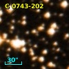 C 0743-202