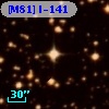 [M81] I-141