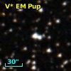 V* EM Pup