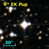 V* EK Pup