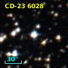 CD-23  6028