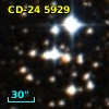 CD-24  5929