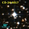 CD-24  6017