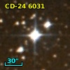 CD-24  6031
