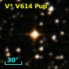 V* V614 Pup