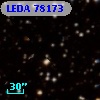 LEDA   78173