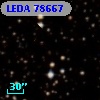 LEDA   78667