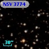 NSV  3774
