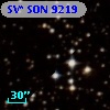 SV* SON  9219
