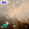 IRAS 07502-2620