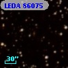 LEDA   86075