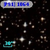 [P81] 1064