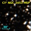 Cl* NGC 2453    MSP      22