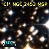Cl* NGC 2453    MSP     196