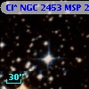 Cl* NGC 2453    MSP     272