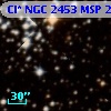 Cl* NGC 2453    MSP     227