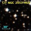 Cl* NGC 2453    MSP     100