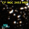 Cl* NGC 2453    MSP      25