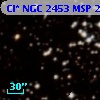 Cl* NGC 2453    MSP      20