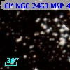 Cl* NGC 2453    MSP      45