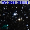 TYC 3986-2334-1