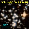 Cl* NGC 2453    MSP     146
