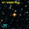 V* V609 Pup