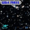 LEDA   78031