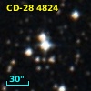CD-28  4824