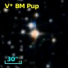 V* BM Pup