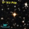 V* KU Pup